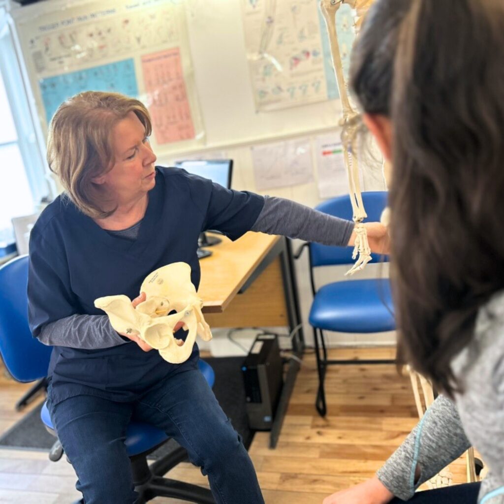 Physiotherapist holding a pelvic model and explaining women’s health to a patient.