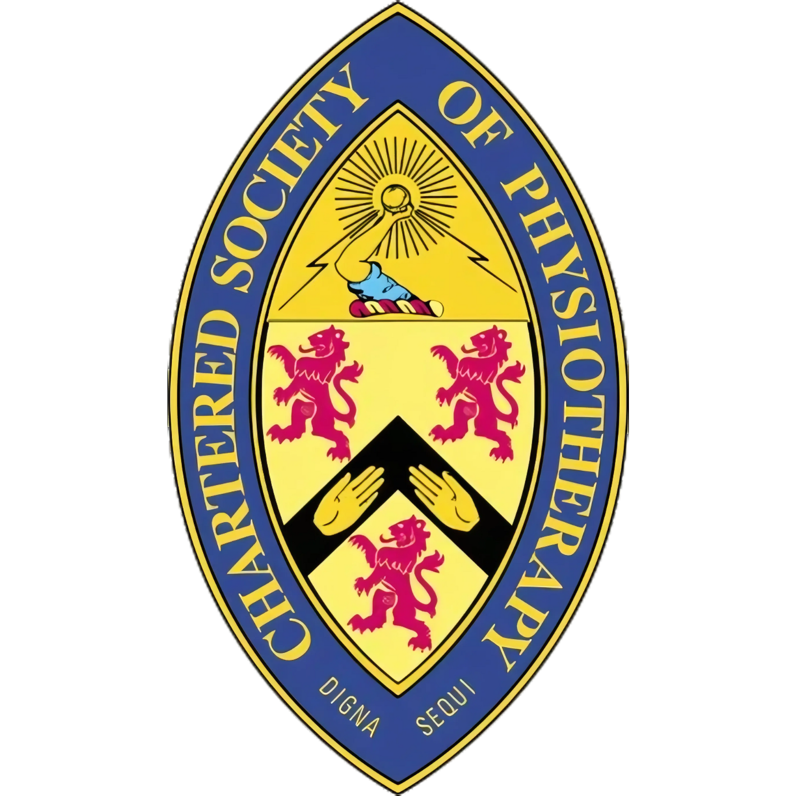 Chartered Society of Physiotherapy